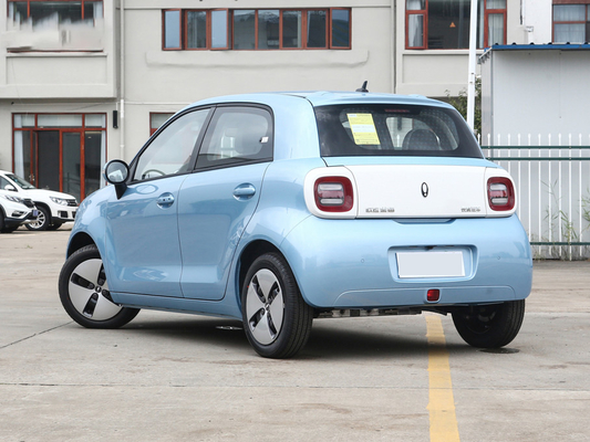 Σειρά 301km καθαρή ηλεκτρική γάτα Minicar 35kw 125NM Euler Σινικών Τειχών οχημάτων